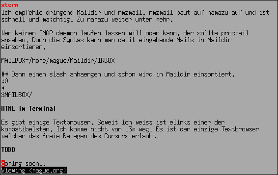 Bildschirmfoto des w3m Textbrowser